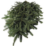 (image for) Noble Fir - 10 lb Bundle